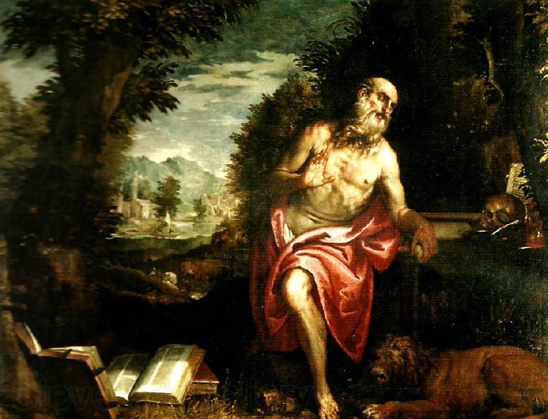 Paolo  Veronese st. jerome Germany oil painting art